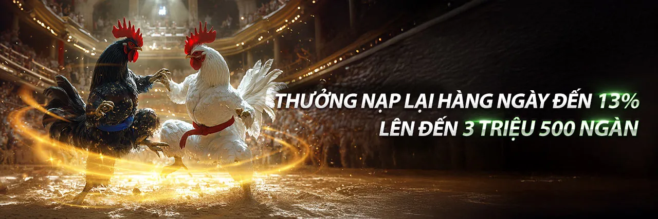 Sân đấu gà chọi trực tuyến tại x8bet