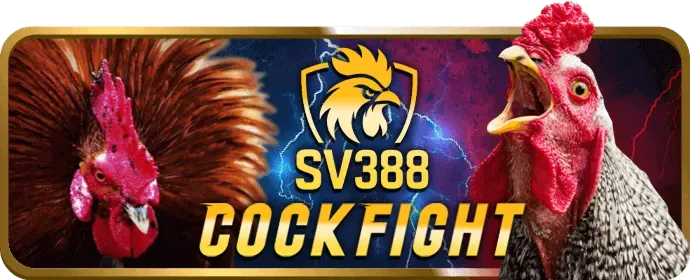 Mẹo chơi lô đề hiệu quả từ cao thủ x8bet